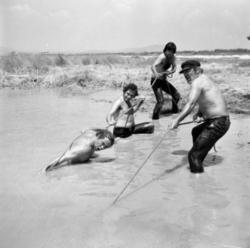 Scene from Ntinos Dimopoulos' film The swamp