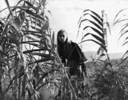 Scene from Ntinos Dimopoulos' film Astero