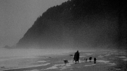 Νεκρή Γλώσσα