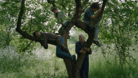 Άνεμε, μίλησέ μου