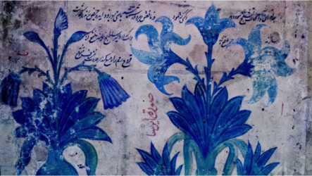 Νυχτερινά λουλούδια της Ντάρια